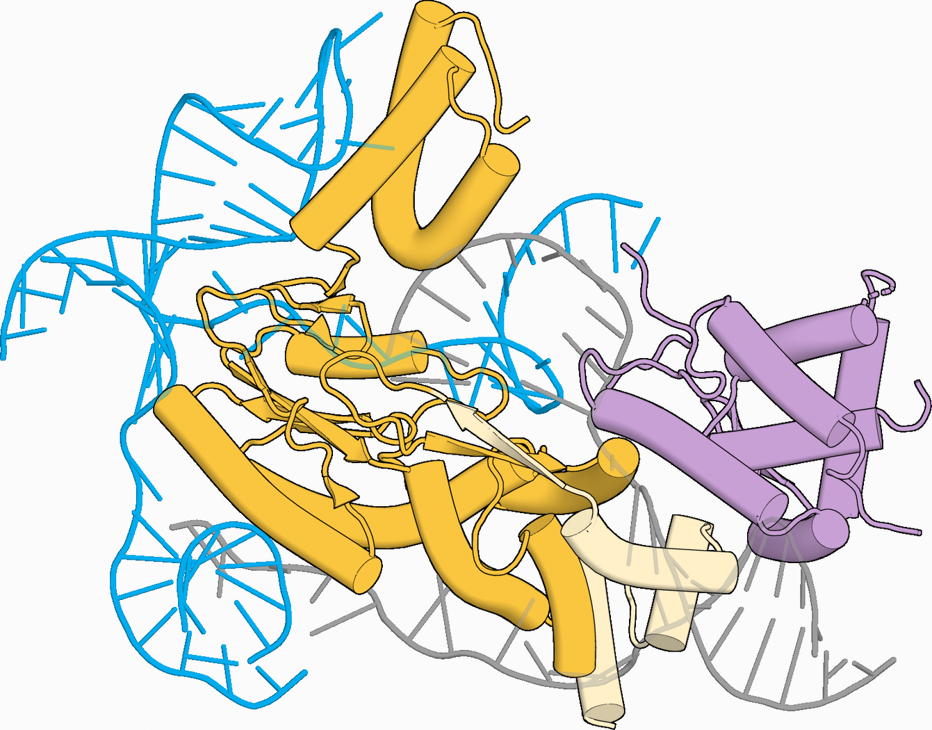 Estruturas das interações entre a transcriptase reversa e a proteína parceira